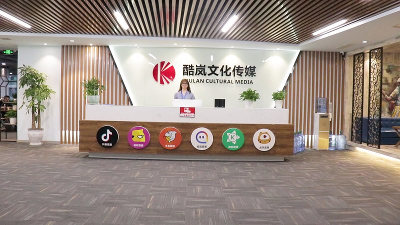 媒介投放适合哪些行业