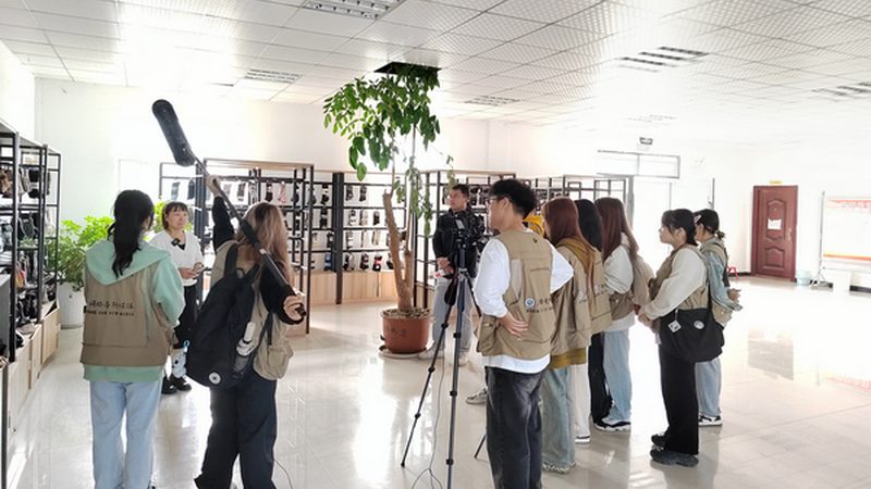 品牌媒介投放的优与劣：揭秘其背后的逻辑与策略