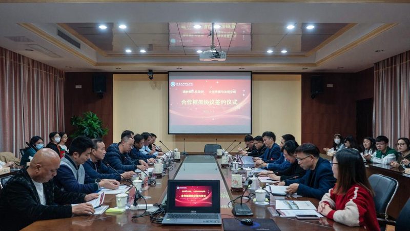 不同行业媒介投放效果解析：揭秘行业差异与策略